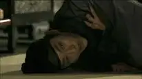 Tập 1 Thư Sinh Bóng Đêm