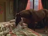 Tập 05 Cuộc Sống Thượng Hạng Của Zack & Cody (Phần 2)