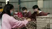 Tập 3 Mục ruỗng (Phần 1)