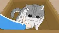 Tập 18 Nights with a Cat