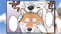 Tập 9 Ngày Tận Thế Với Chú Chó Shiba Của Tôi