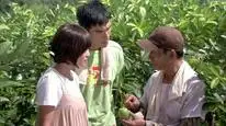 Tập 3B Hạnh Phúc Mãn Đường