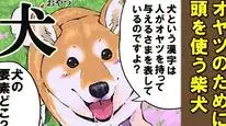Tập 59 Ngày Tận Thế Với Chú Chó Shiba Của Tôi