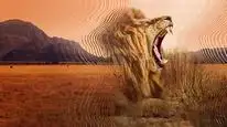 Tập 01 David Attenborough: Thế giới bí mật của âm thanh