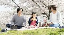Tập Full Khi Họ Đan Nghiêm Túc