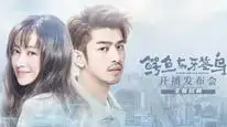 Tập 6 Cá Sấu Và Chim Tăm