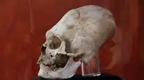 Tập 8 Ancient Aliens (Phần 5)