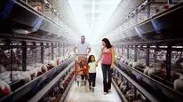 Tập Full Đầu độc: Sự thật bẩn thỉu về thực phẩm