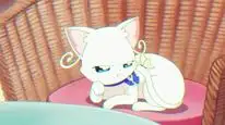 Tập 81 Wonderful Precure!