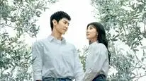 Tập 01 Cây Ô Liu Màu Trắng