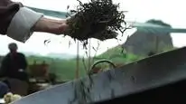 Tập 17 Người Làm Ăn Lớn