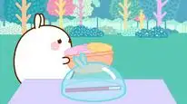 Tập 31 Molang (Phần 4)