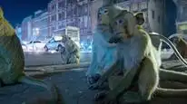 Tập 5 Màn đêm trên Trái Đất