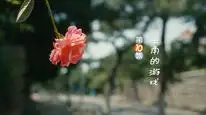 Tập 10 Xin Chào Ngày Xưa Ấy