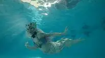 Tập 2 MerPeople: Nghề nhân ngư