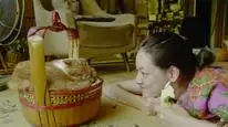 Tập Full Dịch vụ cho thuê mèo