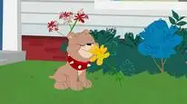 Tập 12 The Tom and Jerry Show (Phần 1)