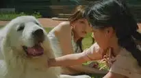 Tập Full Giả Kim Thuật Sư