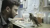 Tập Full Muôn Loài Đang Thở