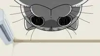 Tập 9 Nights with a Cat