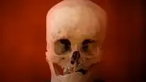 Tập 16 Ancient Aliens (Phần 3)