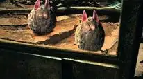 Tập 6 Thánh vực sumo