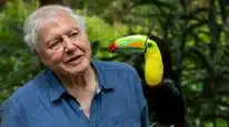 Tập 3 David Attenborough: Sự sống đầy màu sắc