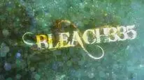 Tập 335 Bleach