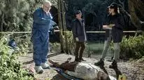 Tập 3 NCIS: Sydney (Phần 1)