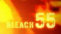 Tập 55 Bleach