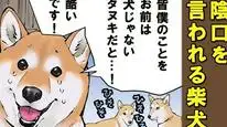 Tập 64 Ngày Tận Thế Với Chú Chó Shiba Của Tôi