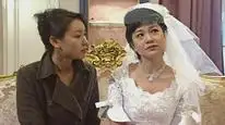 Tập 30 Hồ Sơ Trinh Sát (Phần 3)