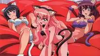 Tập 4 Zero no Tsukaima