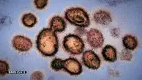 Tập 01 Giải mã virus corona