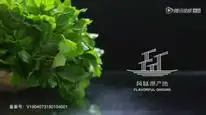 Tập 20 Nguồn gốc của hương vị (Phần 1) - Ẩm Thực Triều Sán