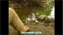 Tập 1 Tây Du Ký