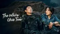 Tập 9 Cây Ô Liu Màu Trắng