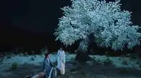 Tập 31 Niệm Vô Song