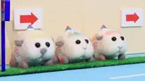 Tập 04-05-06 Pui Pui - Xe Chuột Lang Ngộ Nghĩnh (Phần 2)