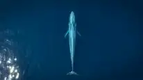 Tập 10 Big Beasts