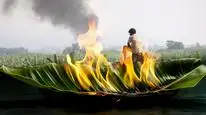 Tập Full Chuối Chín