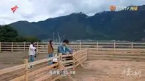 Tập 3 Lời Mời Đặc Biệt Của Tình Yêu