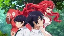 Tập 4 Shinka no Mi: Shiranai Uchi ni Kachigumi Jinsei