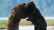 Tập 05 Big Beasts