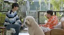 Tập 5 Be Mine. Superstar