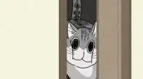 Tập 17 Nights with a Cat