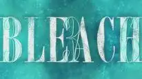 Tập 336 Bleach