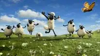 Tập 1 Chú cừu Shaun (Phần 5)