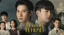 Tập 17 Hương Tình Yêu