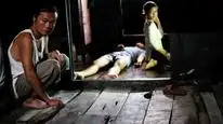 Tập Full Cha và con và…